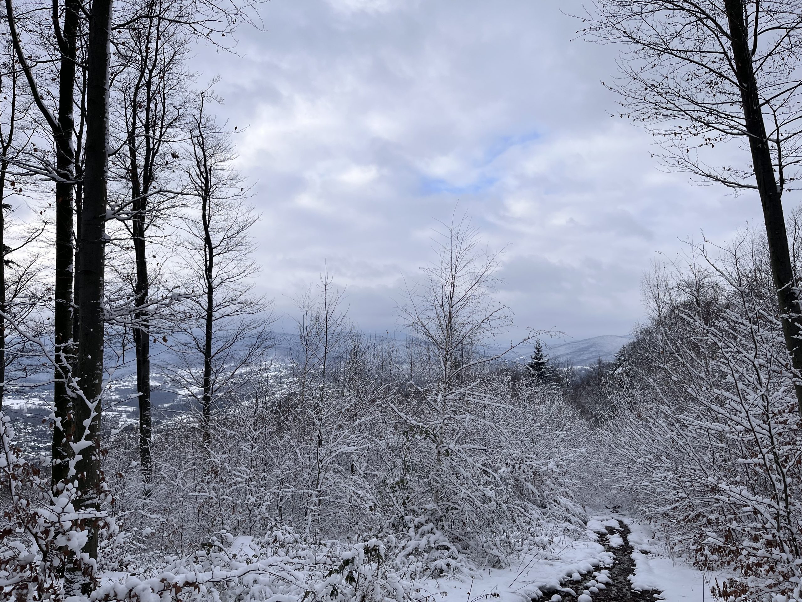 Widok z Jaroszowickiej Góry