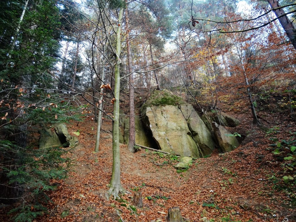 Nowe Skałki Jaroszowickie, okolice Wadowic i Kleczy Dolnej wzdłuż zielonego szlaku na Jaroszowicką Górę